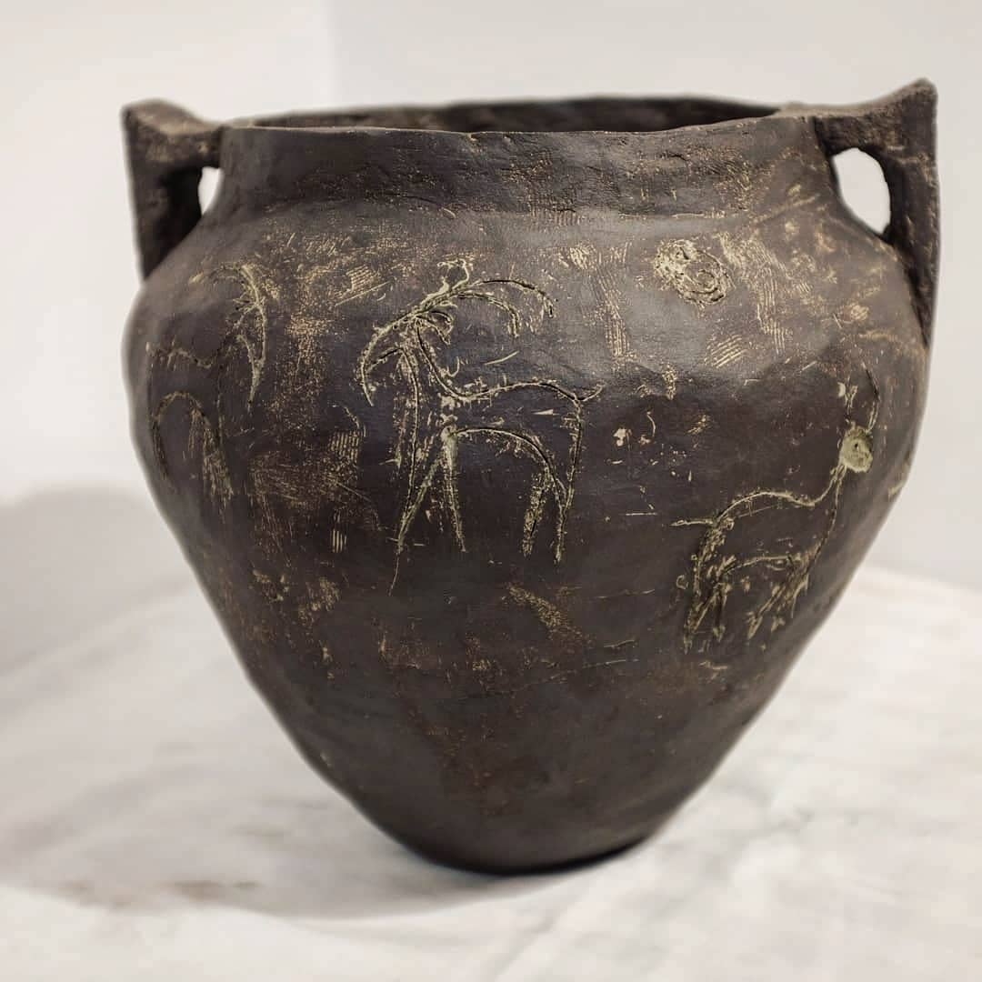 IMG_20201205_180629_010